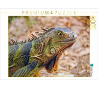 CALVENDO Puzzle Beautiful iguana | 1000 pieces, finished size 25.2 × 18.9 in (64