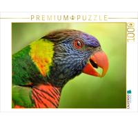 CALVENDO Puzzle Beautiful Parrots - Lori | 1000 pieces, finished size 25.2 × 18.