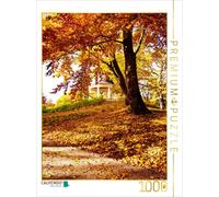 CALVENDO Puzzle BEAUTIFUL SCHWERIN | 1000 pieces, finished size 25.2 × 18.9 in (