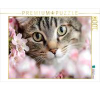 CALVENDO Puzzle Beautiful tiger cat in spring | 1000 pieces, finished size 25.2