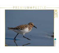 CALVENDO Puzzle Bécasseau Sanderling 1000 Pieces 64 x 48 cm from Leon Uppena