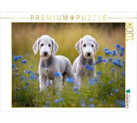 CALVENDO Puzzle Bedlington Terrier puppies | 1000 pieces, finished size 25.2 × 1