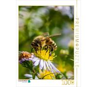 CALVENDO Puzzle Abeille sur Marguerite 1000 Pieces 48 x 64 cm from Mark Bangert