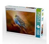 CALVENDO Puzzle Belle Perruche 1000 Pieces 64 x 48 cm from Peter Roder