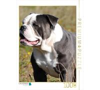 CALVENDO Puzzle Ben 1000 Pieces 48 x 64 cm from Elisabeth Stanzer