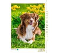 CALVENDO Puzzle Berger Australie | 1000 pièces Taille de la Pose 48 x 64 cm Puzzle Photo pour des Heures heureuses