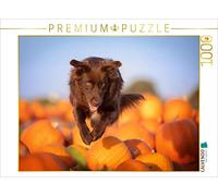 CALVENDO Puzzle Berger Australien 1000 Pieces 64 x 48 cm from Ulla Moswald