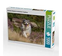CALVENDO Puzzle Berger Australien dans Un Environnement automnal 1000 Pieces 64 x 48 cm from Annett Mirsberger