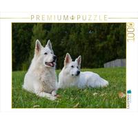 CALVENDO Puzzle Berger Blanc Suisse 1000 Pieces 64 x 48 cm from Sista-Tierfoto