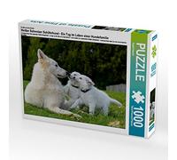 CALVENDO Puzzle Berger Blanc Suisse - Une journée dans la Vie d'une Famille de Chiens 1000 Pieces 64 x 48 cm from Sista-Tierfoto