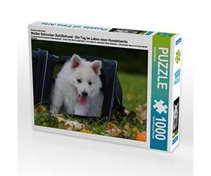 CALVENDO Puzzle Berger Blanc Suisse - Une journée dans la Vie d'une Famille de Chiens 1000 Pieces 64 x 48 cm from Sista-Tierfoto