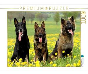 CALVENDO Puzzle bergers allemands 1000 Pieces 64 x 48 cm from Claudia Steininger