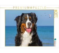 CALVENDO Puzzle Berner Sennenhündin - Eine Schönheit auf vier Pfoten | 1000 Teil