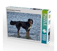 CALVENDO Puzzle Berner Sennenhund in der Nordsee 1000 Teile Puzzle quer 1000 Pieces 64 x 48 cm from Kattobello