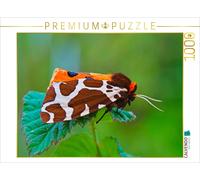 CALVENDO Puzzle Berry spinner | 1000 pieces, finished size 25.2 × 18.9 in (64 ×