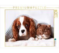 CALVENDO Puzzle Best Friends - BKH Kitten und Cavalier King Charles Spaniel Welp