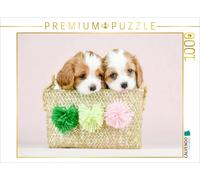 CALVENDO Puzzle Beste Freunde Zwei Cavalier King Charles Spaniel Welpen | 1000 T