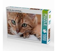 CALVENDO Puzzle Bethari Hita - Brown rosetted Bengal 1000 Teile Puzzle quer 1000 Pieces 64 x 48 cm from Sylke Enderlein
