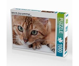 CALVENDO Puzzle Bethari Hita - Brown rosetted Bengal 1000 Teile Puzzle quer 1000 Pieces 64 x 48 cm from Sylke Enderlein