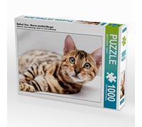 CALVENDO Puzzle Bethari Vinu - Brown rosetted Bengal 1000 Teile Puzzle quer 1000 Pieces 64 x 48 cm from Sylke Enderlein
