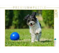 CALVENDO Puzzle Bichon Havanais au Jeu 1000 Pieces 64 x 48 cm from Sista-Tierfoto