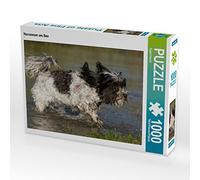 CALVENDO Puzzle Bichon Havanais au lac 1000 Pieces 64 x 48 cm from Sista-Tierfoto