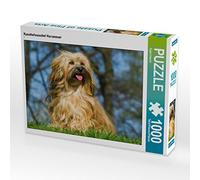 CALVENDO Puzzle Bichon Havanais en Peluche 1000 Pieces 64 x 48 cm from Sista-Tierfoto