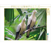 CALVENDO Puzzle Bicolor fruit dove, a pair on a tree | 1000 pieces, finished siz