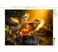 CALVENDO Puzzle Oiseaux, Je Veux Vous conquérir | 1000 pièces de Taille de la Ponte 64 x 48 cm Puzzle Photo pour des Heures heureuses