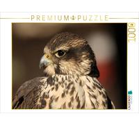 CALVENDO Puzzle Birds of Prey - Saker Falcon | 1000 pieces, finished size 25.2 ×