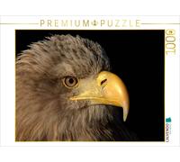 CALVENDO Puzzle Birds of Prey - White-tailed Eagle | 1000 pieces, finished size