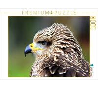 CALVENDO Puzzle Birds of Prey - Young Red Kite | 1000 pieces, finished size 25.2