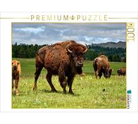 CALVENDO Puzzle Bison Familie im Custer State Park 1000 Teile Puzzle quer 1000 Pieces 64 x 48 cm from Dieter Wilczek