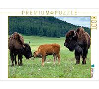 CALVENDO Puzzle Bison Familie im Custer State Park 1000 Teile Puzzle quer 1000 Pieces 64 x 48 cm from Dieter Wilczek