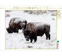 CALVENDO Puzzle Bison sur Le Plateau Blacktail 1000 Pieces 64 x 48 cm from Marianne Drews