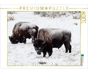 CALVENDO Puzzle Bison sur Le Plateau Blacktail 1000 Pieces 64 x 48 cm from Marianne Drews