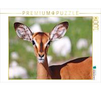 CALVENDO Puzzle Impala à Nez Noir 1000 Pieces 64 x 48 cm from Wibke Woyke