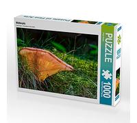 CALVENDO Puzzle Blätterpilz 1000 Teile Puzzle quer 1000 Pieces 64 x 48 cm from Peter Roder