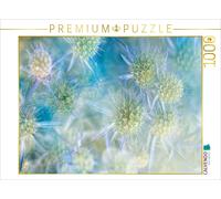 CALVENDO Puzzle Blaudistel | 1000 pieces, finished size 25.2 × 18.9 in (64 × 48