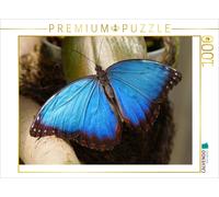 CALVENDO Puzzle Blauer Morphofalter | 1000 Teile Lege-Größe 64x48cm Foto-Puzzle