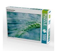 CALVENDO Puzzle Blé Romantique 1000 Pieces 64 x 48 cm from Martina Cross