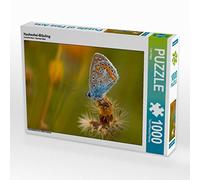 CALVENDO Puzzle Bluebells 1000 Pieces 64 x 48 cm from Lutz Klapp