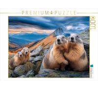 CALVENDO Puzzle Bonjour, Nous Sommes, la Famille des marmottes, 1000 pièces, Taille 64 x 48 cm, Puzzle Photo pour des Heures heureuses
