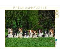 CALVENDO Puzzle Border Collie 2017 1000 Pieces 64 x 48 cm from Sista-Tierfoto