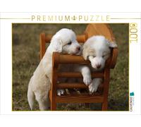 CALVENDO Puzzle Border Collie puppies | 1000 pieces, finished size 25.2 × 18.9 i