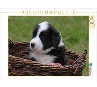 CALVENDO Puzzle Border Collie puppy | 1000 pieces, finished size 25.2 × 18.9 in