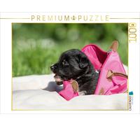 CALVENDO Puzzle Border Collie Welpe in Handtasche 1000 Teile Puzzle quer | 1000