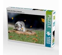 CALVENDO Puzzle Border Collie Welpe in Holzschale 1000 Teile Puzzle quer 1000 Pieces 64 x 48 cm from Andrea Mayer