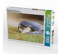 CALVENDO Puzzle Border Collie Welpe mit Jeans 1000 Teile Puzzle quer 1000 Pieces 64 x 48 cm from Andrea Mayer