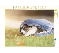 CALVENDO Puzzle Border Collie Welpe mit Jeans 1000 Teile Puzzle quer | 1000 Teil